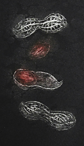 社会人のための夏期講座 絵画教室 彩光舎 さいたま市浦和で基礎から学ぶアートスクール